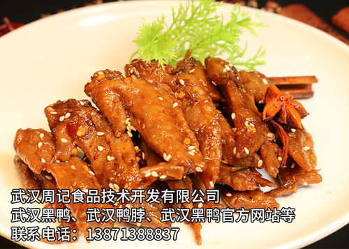 攜手武漢周記食品技術開發，共筑卓越未來